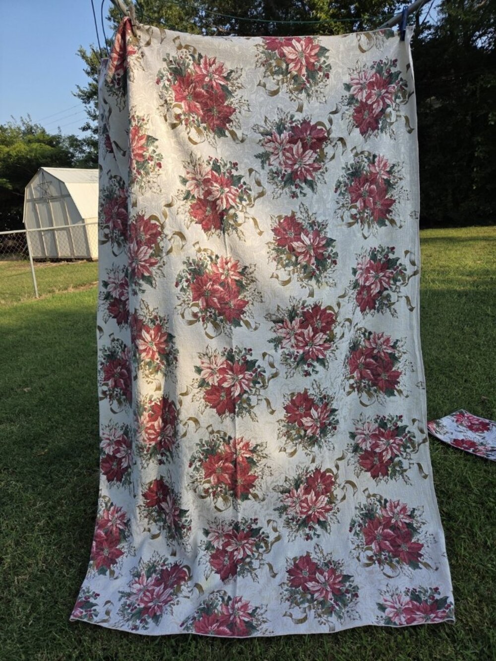Poinsettia Rectangular Tablecloth & Runner Holiday Damask Spots